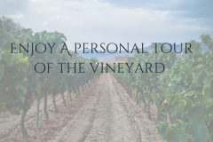 food-and-wine-10