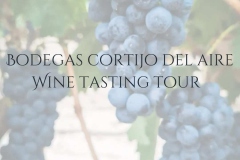 food-and-wine-11