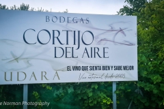 food-and-wine-7