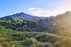 WhatsApp-Image-2022-07-09-at-11.36.47-AM-1