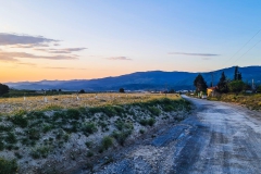 WhatsApp-Image-2022-07-09-at-11.36.47-AM-2