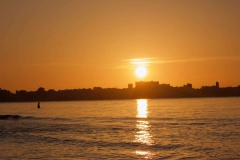 WhatsApp-Image-2022-07-09-at-11.36.48-AM-1