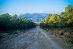 WhatsApp-Image-2022-07-09-at-11.36.48-AM-9