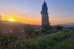 WhatsApp-Image-2022-07-09-at-11.43.28-AM-1