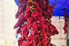 food-and-wine-13