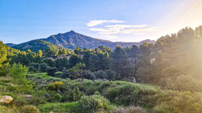 Walking in the fabulous Spanish countryside